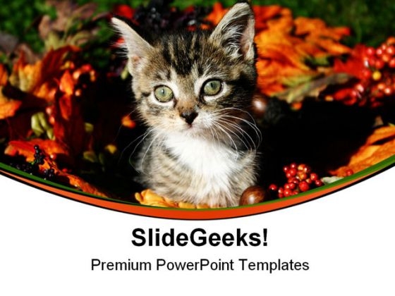 Fall Kitty Animals PowerPoint Templates And PowerPoint Backgrounds 0511 Fall Kitty Animals PowerPoint Templates And PowerPoint Backgrounds 0511