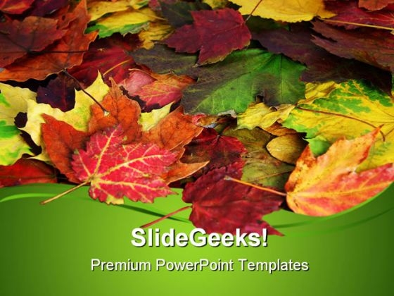 Fall Leaves Nature PowerPoint Templates And PowerPoint Backgrounds 0511