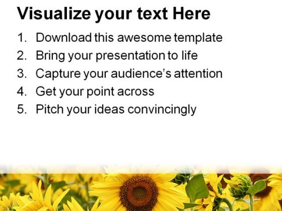 field_of_sunflowers_beauty_powerpoint_templates_and_powerpoint_backgrounds_0311_print