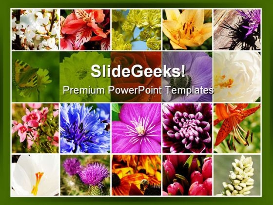 Floral Mosaic Beauty PowerPoint Template 0810