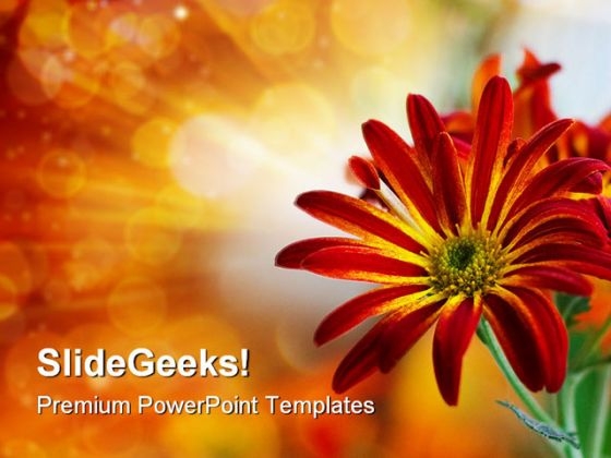 Flower Beauty Nature PowerPoint Backgrounds And Templates 1210 Flower Beauty Nature PowerPoint Backgrounds And Templates 1210