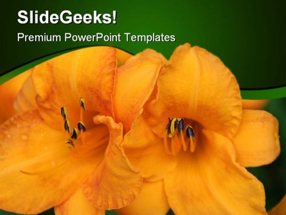 Flower Beauty PowerPoint Templates And PowerPoint Backgrounds 0311 Flower Beauty PowerPoint Templates And PowerPoint Backgrounds 0311