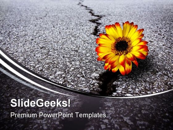 Flower In Asphalt Metaphor PowerPoint Themes And PowerPoint Slides 0611