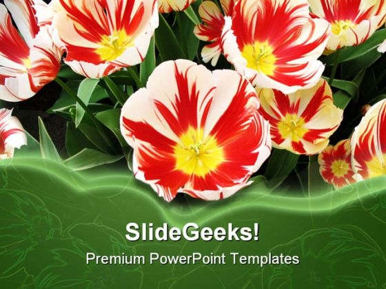 Flowers Beauty PowerPoint Template 1110 Flowers Beauty PowerPoint Template 1110