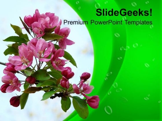 Flowers For Greeting Business Clients PowerPoint Templates Ppt Backgrounds For Slides 0313 Flowers For Greeting Business Clients PowerPoint Templates Ppt Backgrounds For Slides 0313