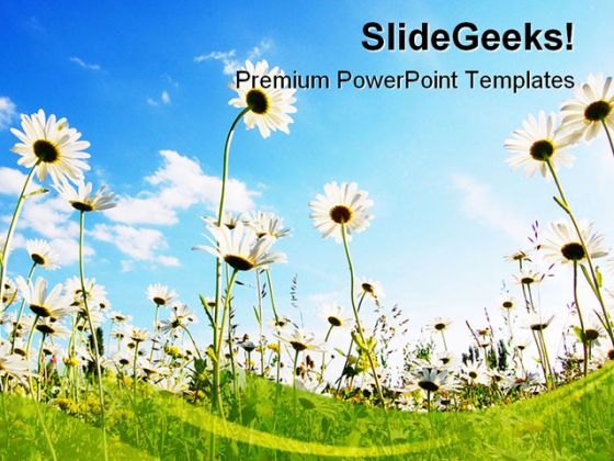 Flowers In Summer Nature PowerPoint Backgrounds And Templates 1210 Flowers In Summer Nature PowerPoint Backgrounds And Templates 1210