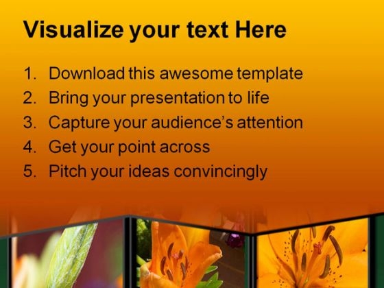 Flowers Nature PowerPoint Template 0610 colorful visual