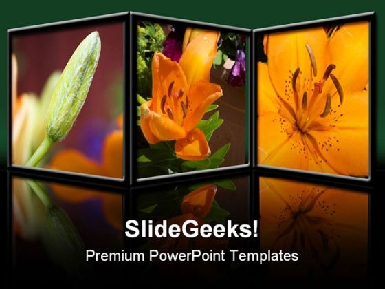 flowers_nature_powerpoint_template_0610_title