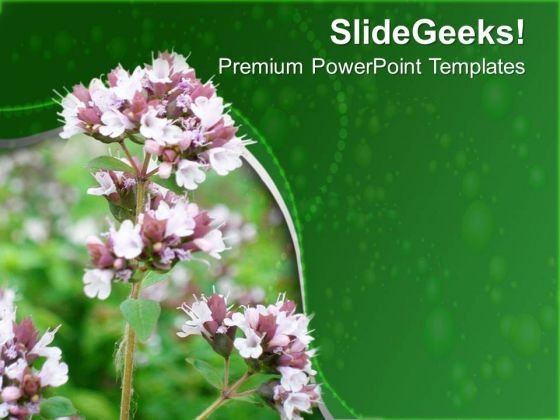 Flowers With Green Background PowerPoint Templates Ppt Backgrounds For Slides 0713 Flowers With Green Background PowerPoint Templates Ppt Backgrounds For Slides 0713
