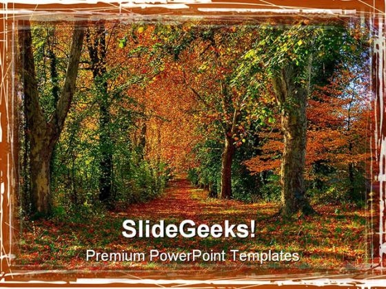 Forest Path Nature PowerPoint Templates And PowerPoint Backgrounds 0311