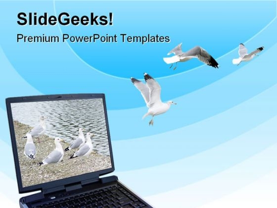Freedom Animals PowerPoint Templates And PowerPoint Backgrounds 0611 Freedom Animals PowerPoint Templates And PowerPoint Backgrounds 0611