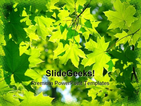 Fresh Green Maple Leaves Nature PowerPoint Themes And PowerPoint Slides 0411