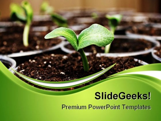Fresh Sprouts Nature PowerPoint Themes And PowerPoint Slides 0411