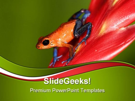 Frog Animals PowerPoint Themes And PowerPoint Slides 0811