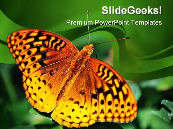 Furry Spotted Spring Animals PowerPoint Templates And PowerPoint Backgrounds 0211 Furry Spotted Spring Animals PowerPoint Templates And PowerPoint Backgrounds 0211
