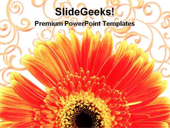 Gerber Daisy With Background Design PowerPoint Themes And PowerPoint Slides 0311