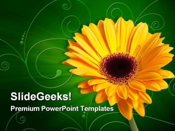 Gerber Yellow Flower Beauty PowerPoint Themes And PowerPoint Slides 0311 Gerber Yellow Flower Beauty PowerPoint Themes And PowerPoint Slides 0311