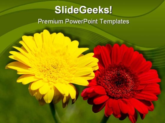 Gerbera Flower Nature PowerPoint Template 1110 Gerbera Flower Nature PowerPoint Template 1110