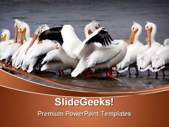 Gimme A Hug Animals PowerPoint Themes And PowerPoint Slides 0511 Gimme A Hug Animals PowerPoint Themes And PowerPoint Slides 0511