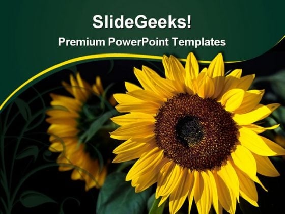 Glowing Sunflower Beauty PowerPoint Themes And PowerPoint Slides 0311 Glowing Sunflower Beauty PowerPoint Themes And PowerPoint Slides 0311
