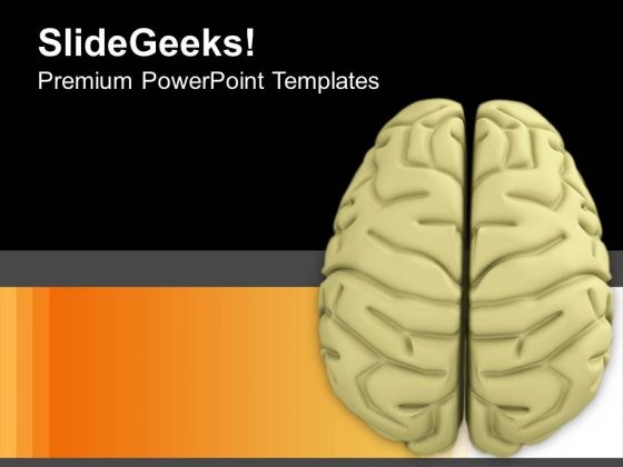 Graphics Of Human Mind PowerPoint Templates Ppt Backgrounds For Slides 0813 Graphics Of Human Mind PowerPoint Templates Ppt Backgrounds For Slides 0813