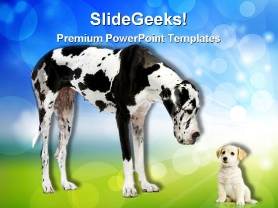 Great Dane Harlequin Animals PowerPoint Templates And PowerPoint Backgrounds 0311