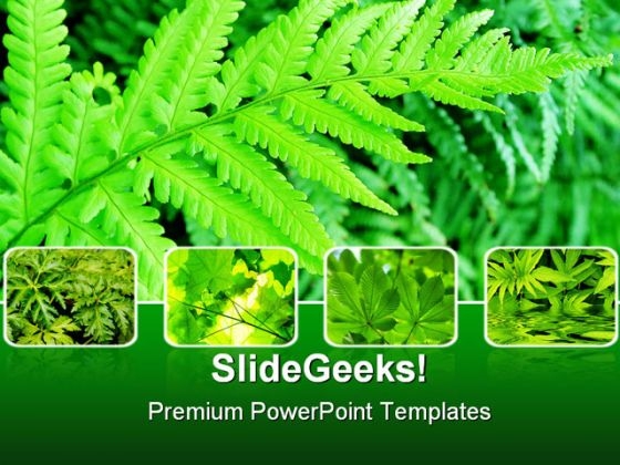 Green Fern Bushes Nature PowerPoint Themes And PowerPoint Slides 0411 Green Fern Bushes Nature PowerPoint Themes And PowerPoint Slides 0411