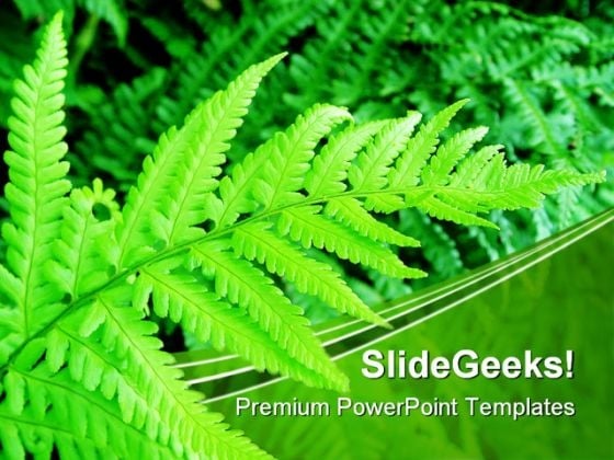 Green Fern Nature PowerPoint Themes And PowerPoint Slides 0411 Green Fern Nature PowerPoint Themes And PowerPoint Slides 0411