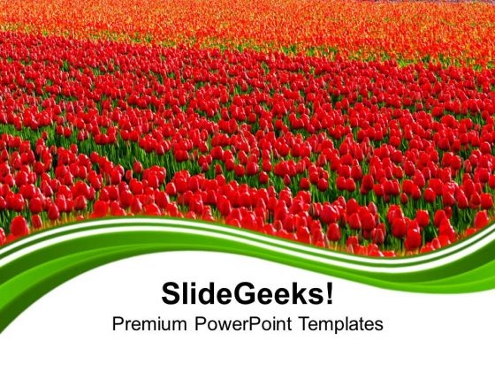 Green Fields Of Red Tulips PowerPoint Templates Ppt Backgrounds For Slides 0213 Green Fields Of Red Tulips PowerPoint Templates Ppt Backgrounds For Slides 0213