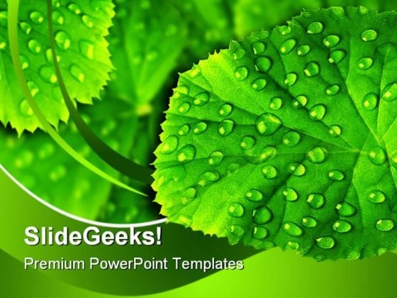 Green Leaf With Drops Nature PowerPoint Templates And PowerPoint Backgrounds 0511 Green Leaf With Drops Nature PowerPoint Templates And PowerPoint Backgrounds 0511
