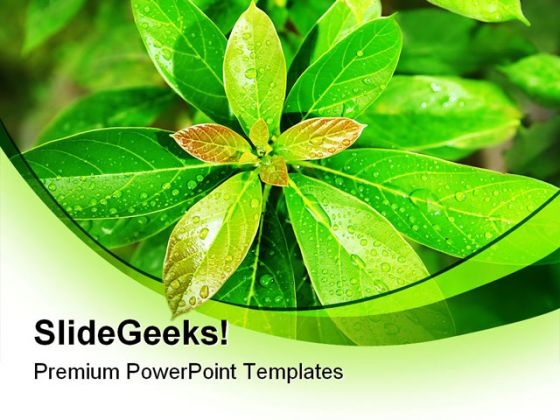 Green Leaves Nature PowerPoint Backgrounds And Templates 0111 Green Leaves Nature PowerPoint Backgrounds And Templates 0111