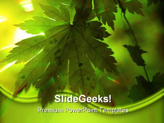 Green Leaves Nature PowerPoint Backgrounds And Templates 1210 Green Leaves Nature PowerPoint Backgrounds And Templates 1210