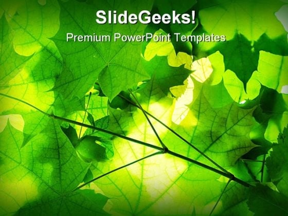 Green Leaves Nature PowerPoint Template 1110 Green Leaves Nature PowerPoint Template 1110