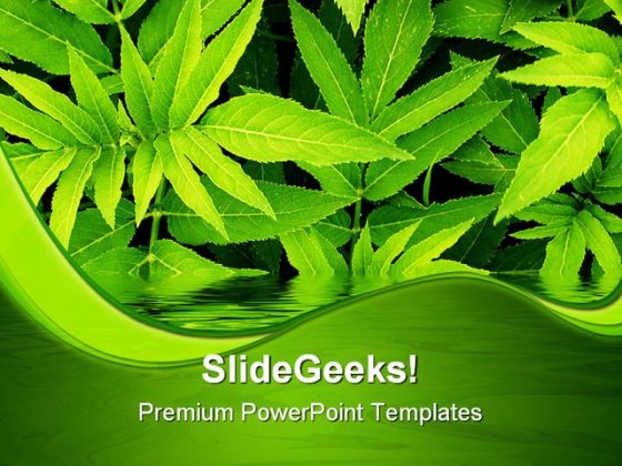 Green Leaves Nature PowerPoint Themes And PowerPoint Slides 0411 Green Leaves Nature PowerPoint Themes And PowerPoint Slides 0411