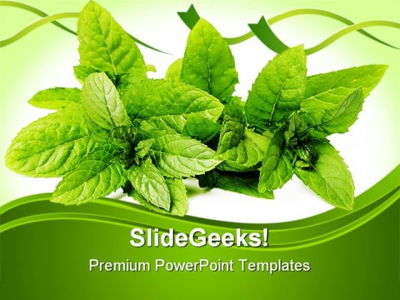 Green Mint Leaves Nature PowerPoint Templates And PowerPoint Backgrounds 0211 Green Mint Leaves Nature PowerPoint Templates And PowerPoint Backgrounds 0211