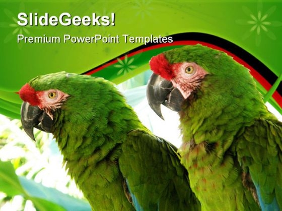 Green Parrots Animals PowerPoint Templates And PowerPoint Backgrounds 0611 Green Parrots Animals PowerPoint Templates And PowerPoint Backgrounds 0611