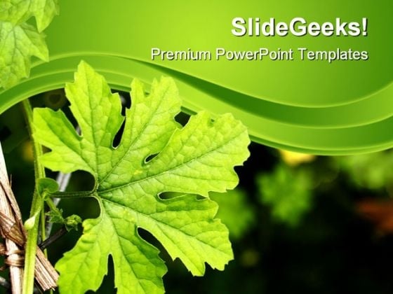 Green Plant Nature PowerPoint Themes And PowerPoint Slides 0611 Green Plant Nature PowerPoint Themes And PowerPoint Slides 0611