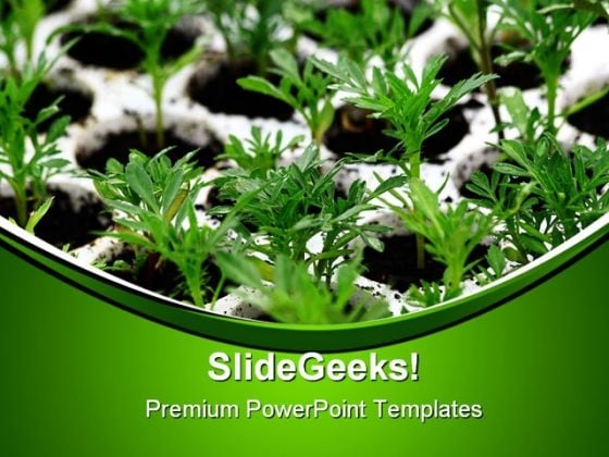 Green Plants Nature PowerPoint Templates And PowerPoint Backgrounds 0411