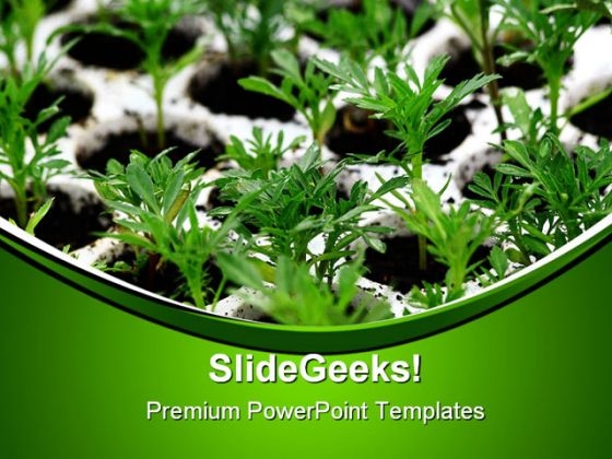 Green Plants Nature PowerPoint Themes And PowerPoint Slides 0411 Green Plants Nature PowerPoint Themes And PowerPoint Slides 0411