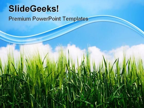 Green Wheat Plant Nature PowerPoint Templates And PowerPoint Backgrounds 0511 Green Wheat Plant Nature PowerPoint Templates And PowerPoint Backgrounds 0511