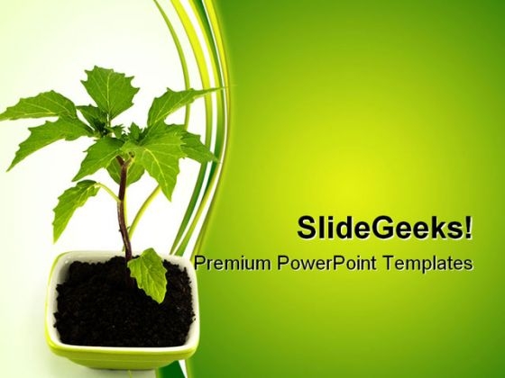 Growing Green Plant Nature PowerPoint Templates And PowerPoint Backgrounds 0511 Growing Green Plant Nature PowerPoint Templates And PowerPoint Backgrounds 0511