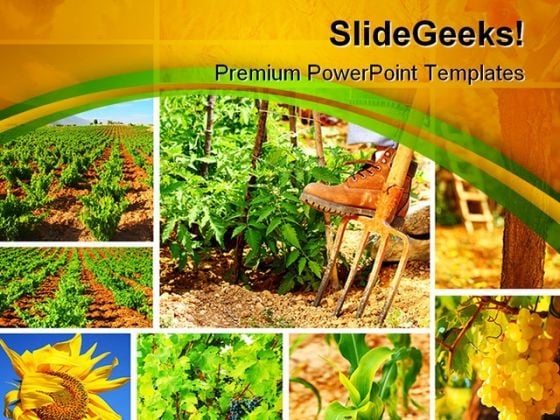 Harvest Concept Collage Agriculture PowerPoint Themes And PowerPoint Slides 0411 Harvest Concept Collage Agriculture PowerPoint Themes And PowerPoint Slides 0411