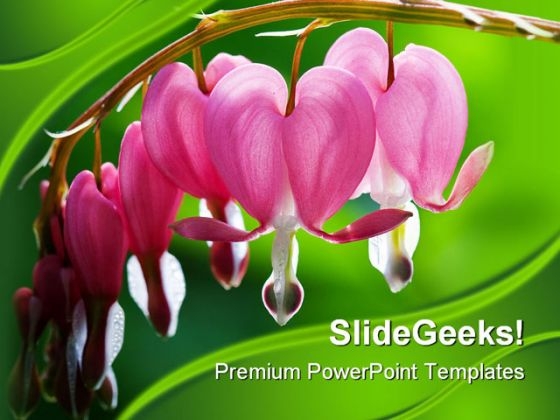 Heart Flowers Beauty PowerPoint Backgrounds And Templates 0111 Heart Flowers Beauty PowerPoint Backgrounds And Templates 0111