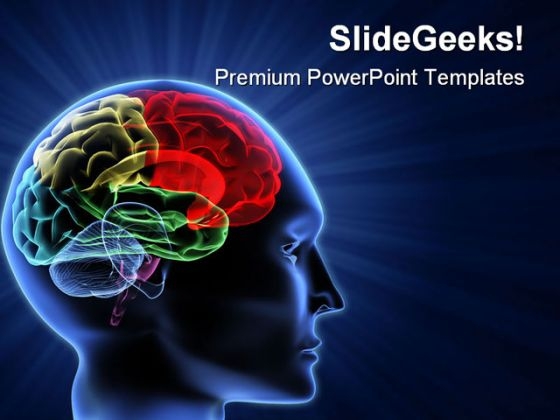 Human Brain01 Science PowerPoint Themes And PowerPoint Slides 0711 Human Brain01 Science PowerPoint Themes And PowerPoint Slides 0711