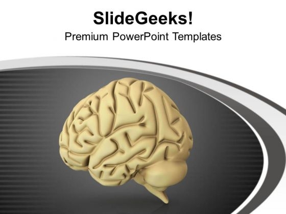 Human Brain Is Home Of Ideas PowerPoint Templates Ppt Backgrounds For Slides 0713 Human Brain Is Home Of Ideas PowerPoint Templates Ppt Backgrounds For Slides 0713