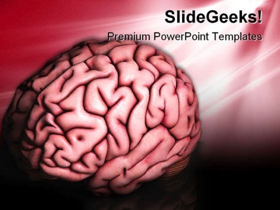 Human Brain Science PowerPoint Templates And PowerPoint Backgrounds 0211 Human Brain Science PowerPoint Templates And PowerPoint Backgrounds 0211