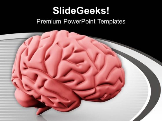 Human Brain Sculpture PowerPoint Templates Ppt Backgrounds For Slides 0713