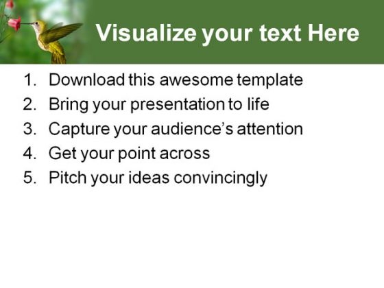 humming_bird_animals_powerpoint_template_0910_print