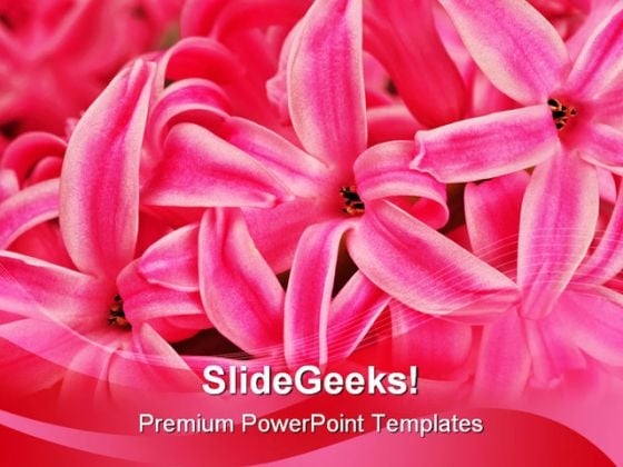 Hyacinth Beauty PowerPoint Templates And PowerPoint Backgrounds 0311 Hyacinth Beauty PowerPoint Templates And PowerPoint Backgrounds 0311