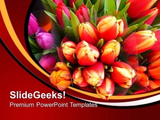 Image Of Colorful Tulips Flowers PowerPoint Templates Ppt Backgrounds For Slides 0213 Image Of Colorful Tulips Flowers PowerPoint Templates Ppt Backgrounds For Slides 0213